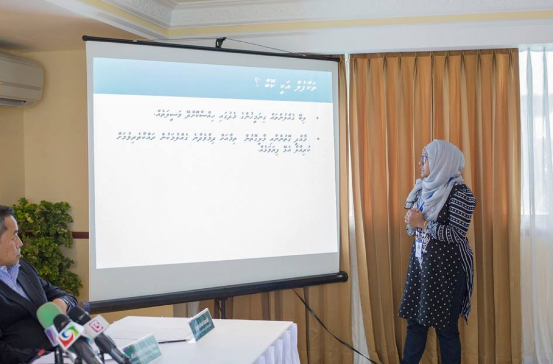 އާ ލައިފް އިންޝުއަރެންސް ޕްލޭންގެ މައުލޫމާތު ދެނީ