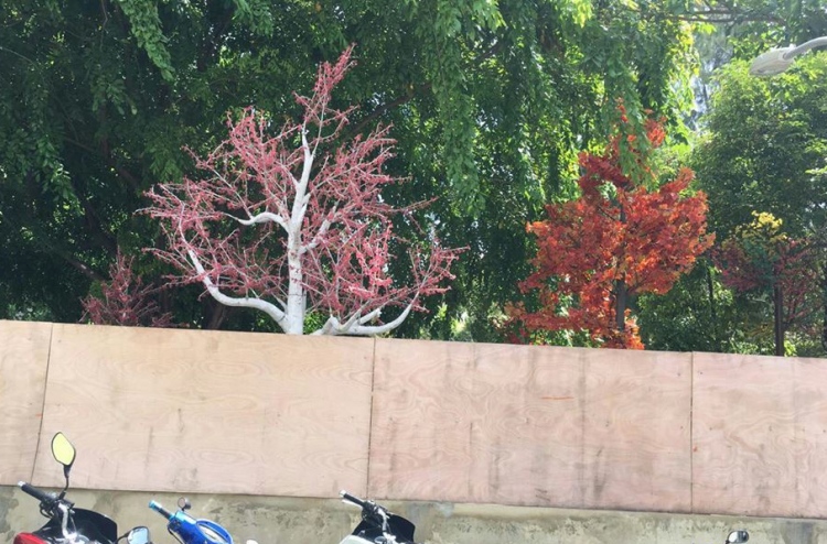 ޕާކް ނުހުޅުވި ލަސްވަނީ ބައެއް ތަކެތި ބޭރުން ގެންނާތީ