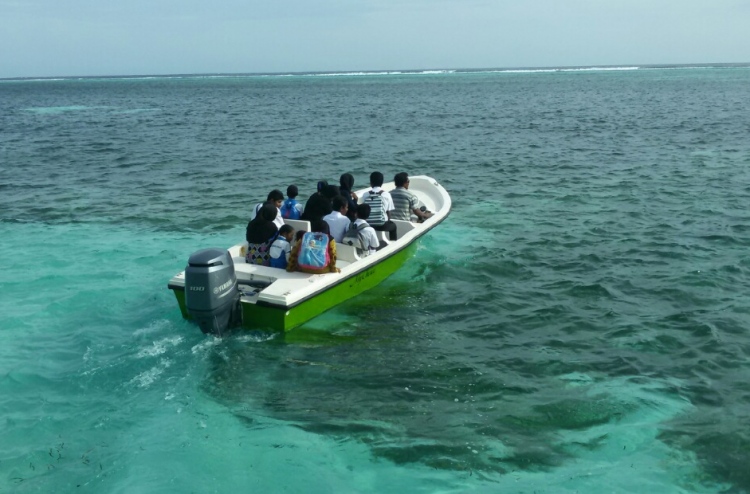 ދެ ޑިންގީއެއް ޖެހި ބަޔަކަށް އަނިޔާވެއްޖެ