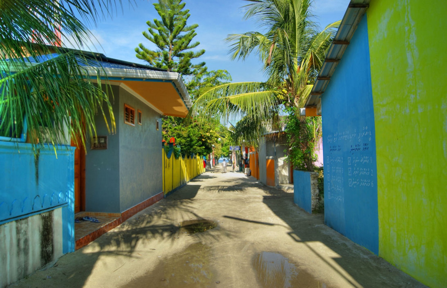 ރަސްދޫގެ މަގެއް: ޝީގެ މަރަށް އިންސާފު ހޯދަން ޝިއު ދަނީ މަސައްކަތް ކުރަމުން