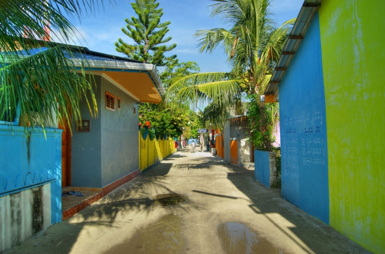 ގެސްޓްހައުސް އިންސްޕެކްޓް ކުރުމުގެ ބާރު ކައުންސިލްތަކަށް