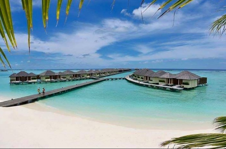 ވިލާގެ ރިސޯޓަކުން ގާނޫނާ ހިލާފު ކަމެއް ނުކުރޭ: ޖީއެމް