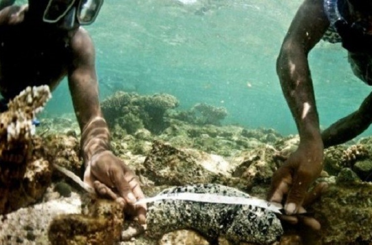 ހުއިފިލަނޑާ ބޮޑުކުރުމުގެ ތަމްރީން 100 މީހަކަށް ދެނީ