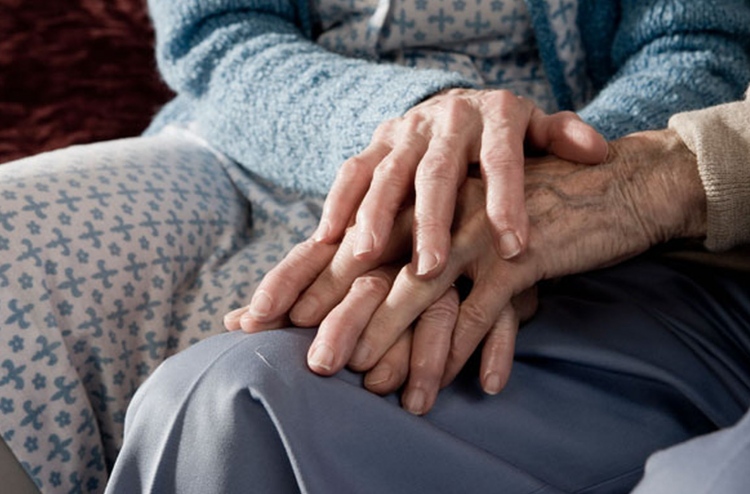 ފިރިހެނުންގެ ދަރިފަނި ދަނީ މަދުވަމުން