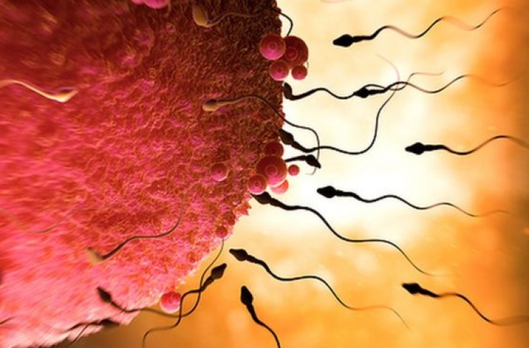 ބިހާ ނުލައި ދަރިން އުފައްދަން ސައިންސްވެރިން ފޫގަޅައިފި