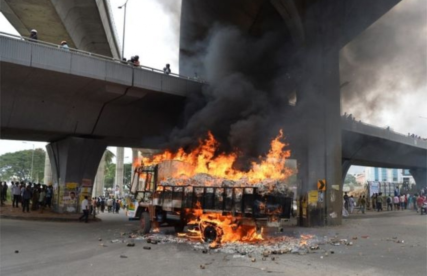 ބެންގަލޫރުގައި ވަނީ ތަމަޅަ ނަންބޯޑު ހުންނަ ވެހިކަލްތައް އަންދަން ފަށާފައި.