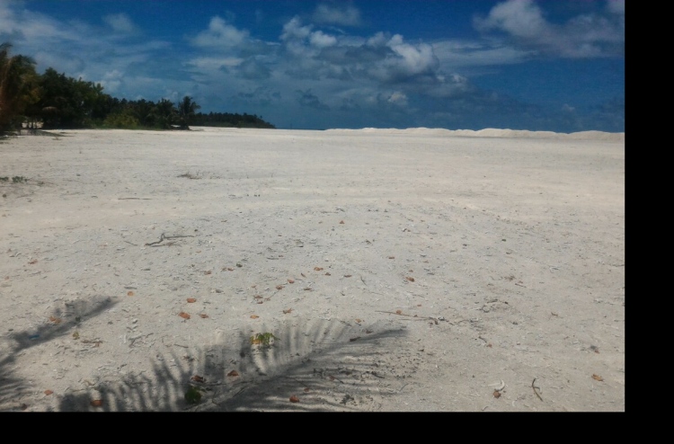 މުލީ ބިން ހިއްކުން ލަސްވާތީ ކައުންސިލުން ކަންބޮޑުވެއްޖެ