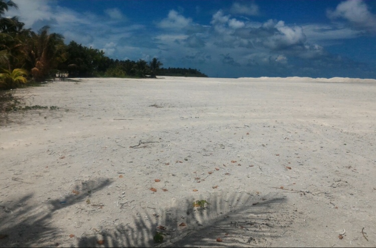 މުލީ ބިން ހިއްކުމުގެ މަސައްކަތް އަލުން ފަށައިފި