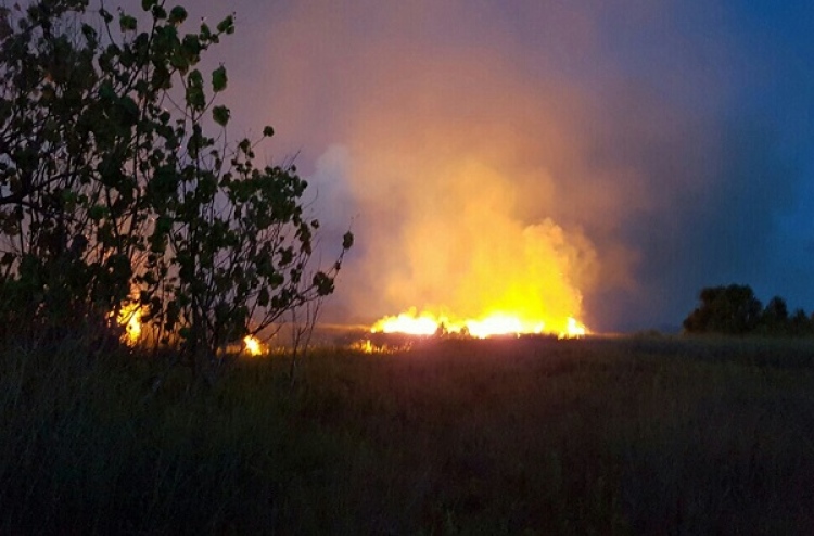 ހުޅުމީދޫ ކުޅި ސަރަހައްދުގައި ރޯވި އަލިފާން ނިއްވާލައިފި