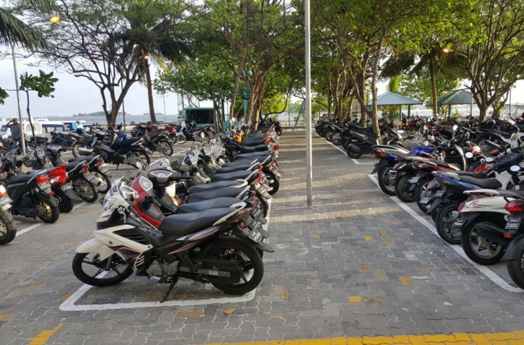 މަސްވެރިންގެ ޕާކުގައި ޕާކިން ޒޯނެއް ހަދައިފި