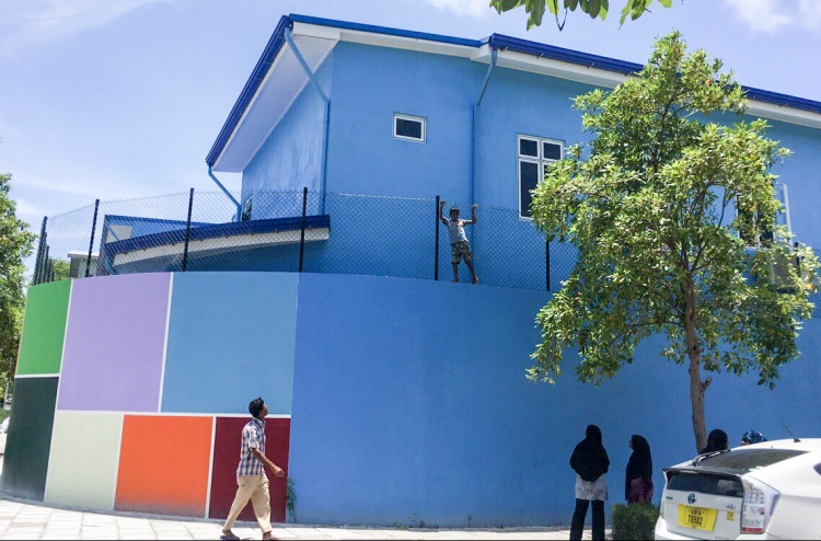 ފިޔަވަތިން ފިލި ހަތް ކުއްޖަކު ހޯދައިފި