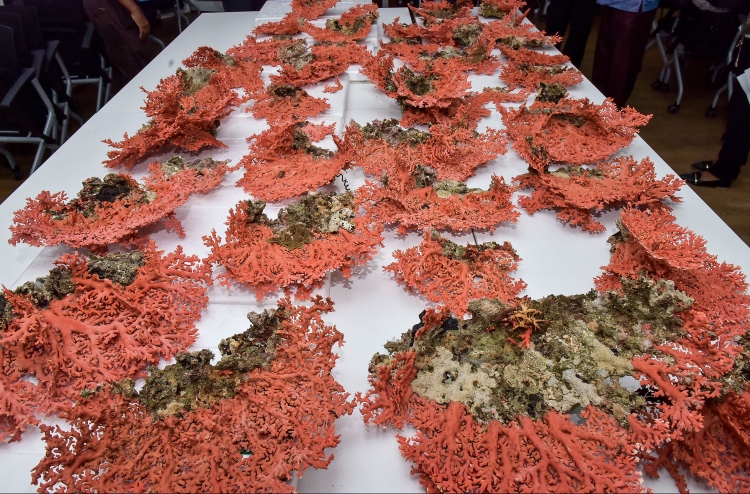 ގިނަ އަދަދެއްގެ ރަތް މުރަކަ އަތުލައިގެންފި