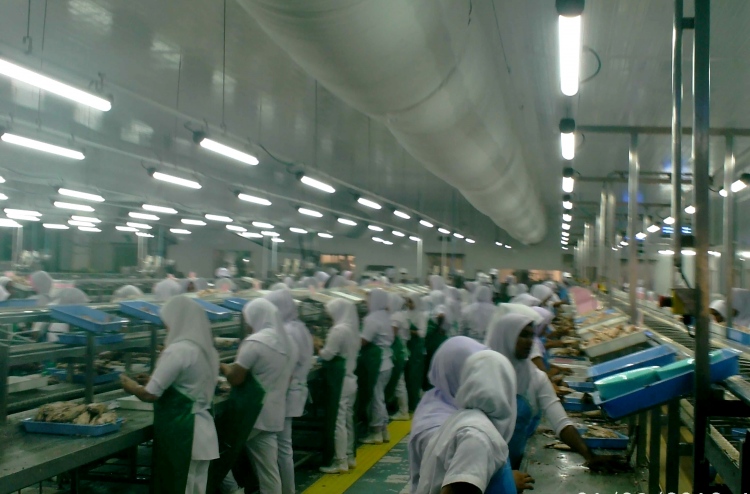 މިފްކޯއަށް އަލުން ހިންދެމިލެވޭނެތަ؟