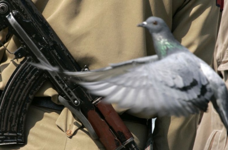 މޯދީ އަށް އިންޒާރުދޭ ނޯޓެއް ހިމެނޭ ކޮތަރެއް ހިފައިފި