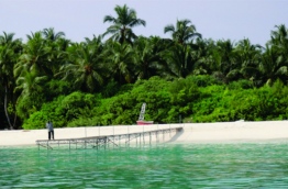 Baa atoll Hibalhidhoo.