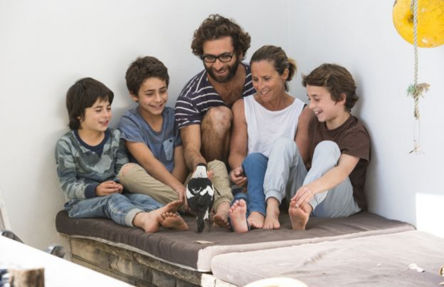 ވެއްޓި މެއިން ތިރި އެއްކޮށް ވާވި އޮސްޓްރޭލިޔާގެ ސެމް ބްލޫމް އާއި އޭނާގެ ފިރިމީހާ ކެމެރަން ބްލޫމް އަދި ތިން ދަރިންނާއި، އެ އާއިލާއަށް އުފާވެރިކަން ގެނެސްދިން ކޮވެލި "ޕެންގުއިން" އެކުގައި