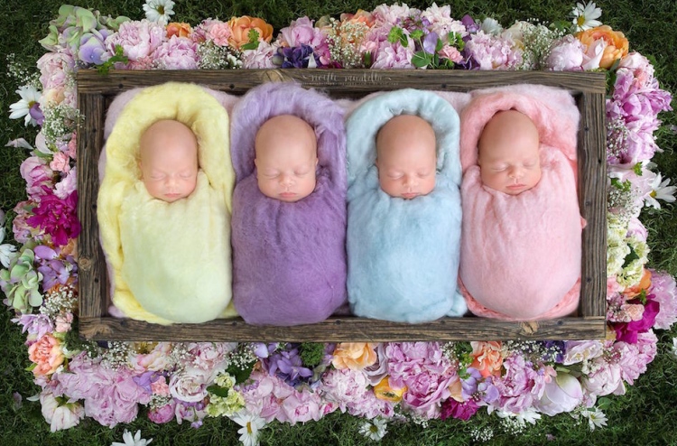 އެއް ސިފައެއްގެ، އެއްމާބަނޑު ހަތަރު ކުދިން