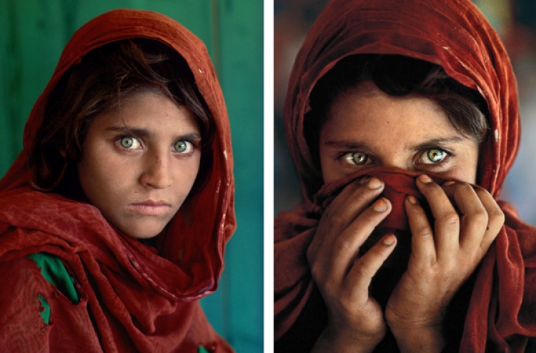 "ފެހި ކުލައިގެ ލޮލުގެ" އަންހެން ކުއްޖާ ޑިޕޯޓްކޮށްލަނީ