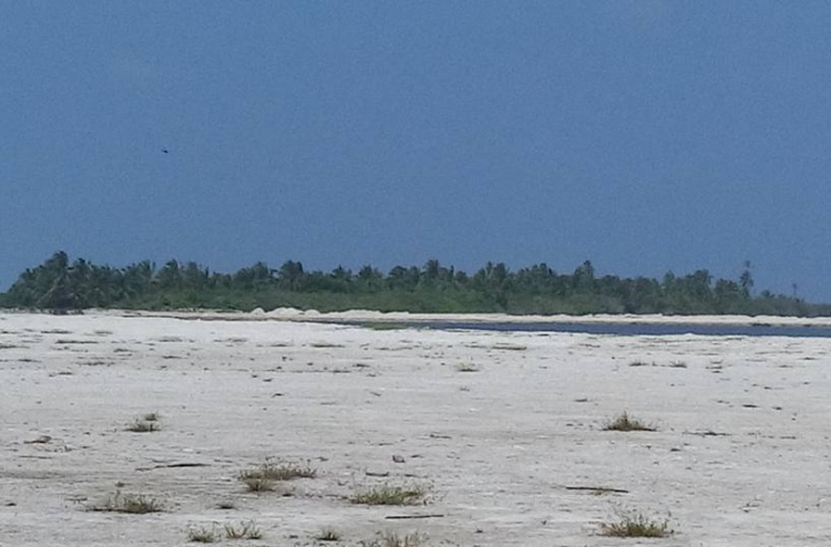 މީދޫގައި މީހަކު މޫދުގައި މަރުވެފައި އޮއްވައި ފެނިއްޖެ