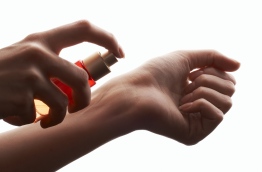 ސެންޓު ޖަހާލަވޭނެ އެންމެ އާދަޔާ ހިލާފުތަން