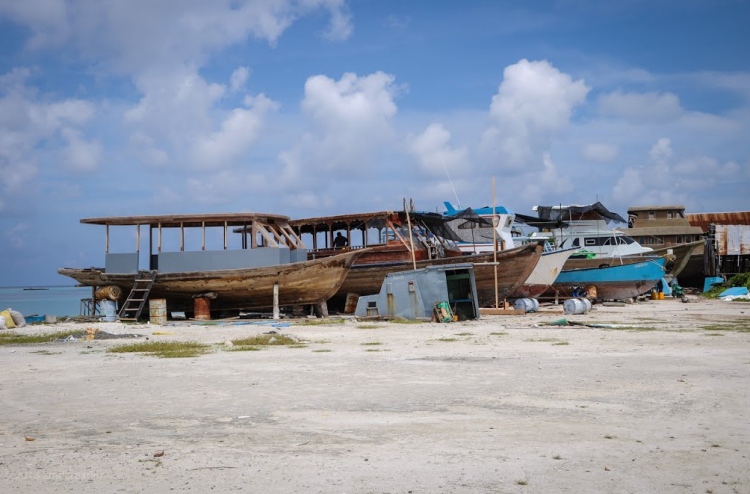 އެކްސިޑެންޓްވި ޓްރަކް ދުއްވި ޑްރައިވަރު ހައްޔަރުކޮށްފި