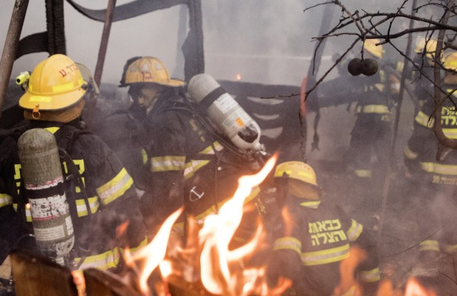 އިޒްރޭލުގެ ބަނދަރުމަތީ ސިޓީއެއް ކަމަށްވާ ހައިފާގައި ރޯވި އަލިފާން ނިއްވުމުގެ މަސައްކަތް ކުރަނީ. --ފޮޓޯ:އޭއެފްޕީ