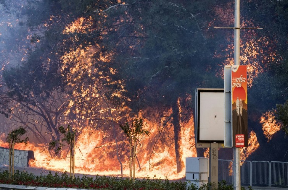 އިޒްރޭލުގެ ބަނދަރުމަތީގެ ރަށެއް ކަމަށްވާ ހައިފާގެ ޖަންގަލީގައި އަލިފާން ރޯވެ އަނދަމުން ދަނީ. --ފޮޓޯ:އޭއެފްޕީ