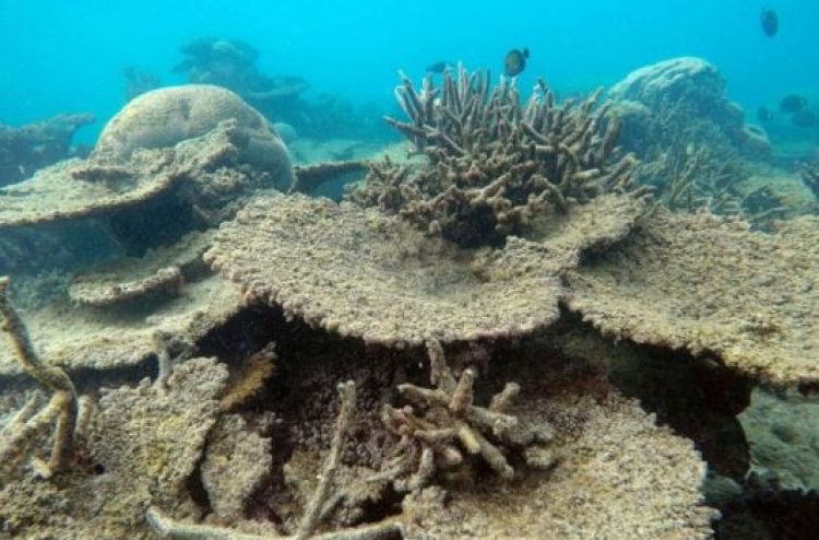 ފަރުތަކަކީ ޖަޒީރާވަންތަކަމުގެ ވިންދު: ހިމާޔަތްކުރަންޖެހޭ