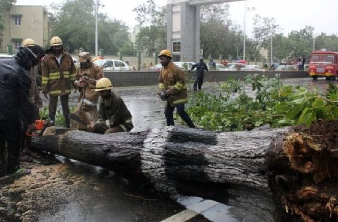 ތޫފާން ވަރުދާ ޗެންނާއީ އަށް އަރައިފި