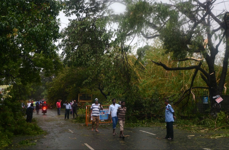 އިންޑިއާގައި ތިމާވެށީގެ ހިޖްރަކުރުން އިތުރުވަނީ