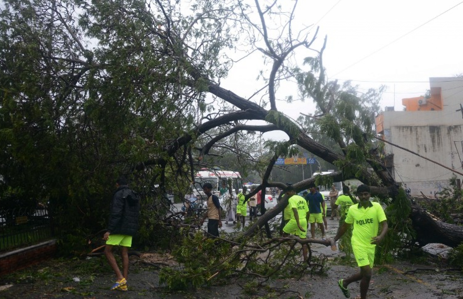 ތޫފާނުގައި ޗެންނާއީ އިން ވެއްޓުނު ގަސްތައް ނަގާ ސާފު ކުރަނީ. --ފޮޓޯ:އޭއެފްޕީ