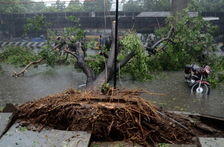 ތޫފާނުން ދެކުނު އިންޑިއާ އަށް ބޮޑެތި ގެއްލުންތަކެއް