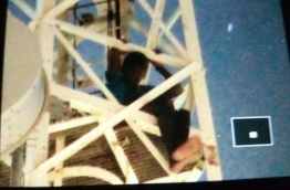 ށ. ފުނަދޫގައި ހުރި ދިރާގު އެއްޓަނާގެ މެދުގައި 12 އަހަރުގެ ކުއްޖާ އިށީދެ: އެންޓަނާ އަށް އަރައި، ނުފައިބައި އިންނަތާ ތިން ގަޑިއިރު ވެއްޖެ --ފޮޓޯ/ކޮމްބައިން ޕްރިންޓާ