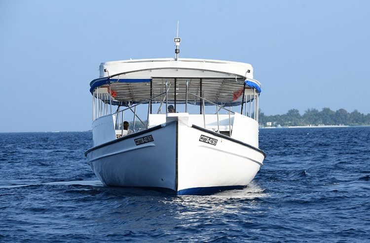 އަލް ޝާލީ މެރިން: ކޮލިޓީ ދޯނިފަހަރު އެންމެންނަށް