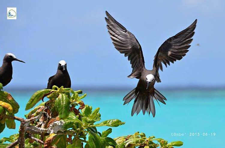 "ދޫނި އެބަ ހިޖުރަކުރޭ، ހިފާ ނަމަ ފިޔަވަޅު އަޅާނަން"