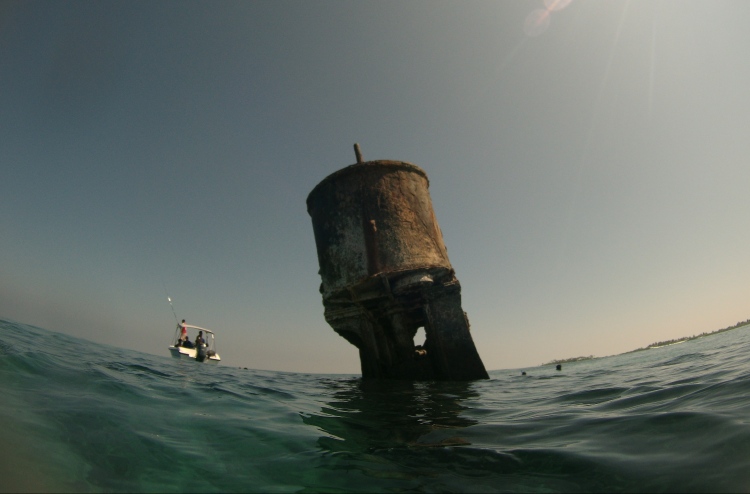 ފަރަށްއެރިތާ ގަރުނެއް، މި ބޯޓުގެ ހަގީގަތަކީ ކޮބާ؟