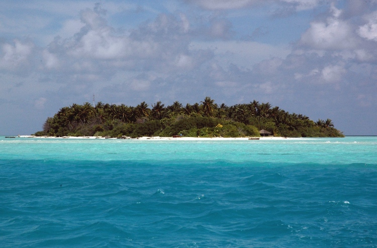 ބޮޑުމޮހޮރާއާ ގުޅޭ ހުކުމް ބާތިލުކޮށް ގާޒީ ދުރުކޮށްފި