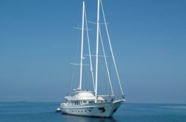 Yachts primarily operating in the Maldives fall under the luxury cruising category rather than sporting