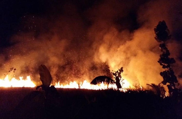 ހުޅުމީދޫ ޗަސްބިން ސަރަހައްދުގައި ރޯވުން އާންމު ކަމަކަށް