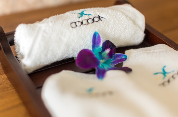 ޅ. ކޮކޫން ރިސޯޓް ހުޅުވައިފި