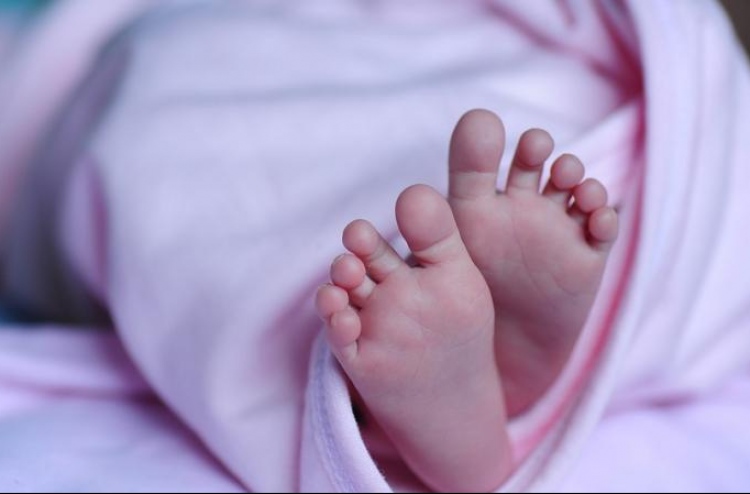 އައިވީއެފް ހެދުމުގެ ތެރޭ ކުދިންތަކެއްގެ ނަސްލު އޮޅިއްޖެ