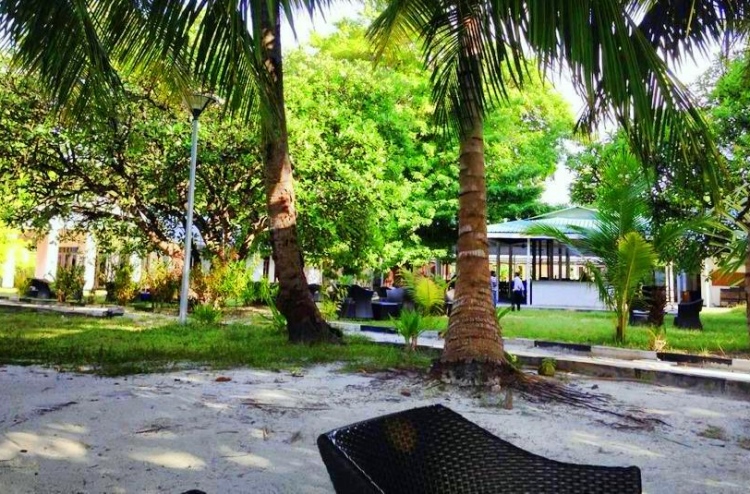 ދޫގަސް ވިއްކާ ނުލައި، ލޯނުގެ މައްސަލަ ހައްލުކުރަނީ