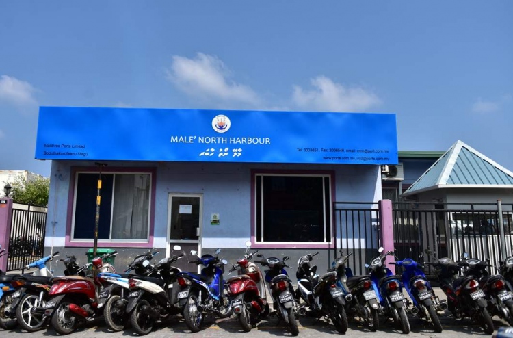 ނޯތު ހާބަރަށް ސައިކަލަށް ވަދެވޭގޮތް ހަދައިފި