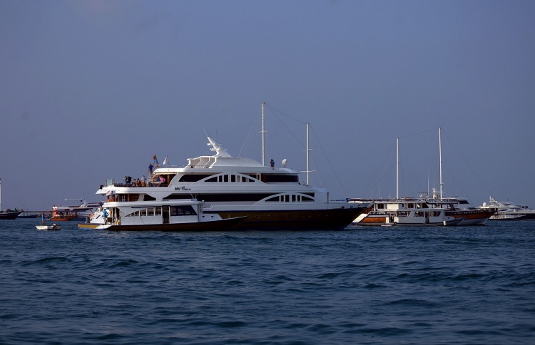 އަނެއްކާވެސް ޓޫރިސްޓަކު މަރުވެއްޖެ