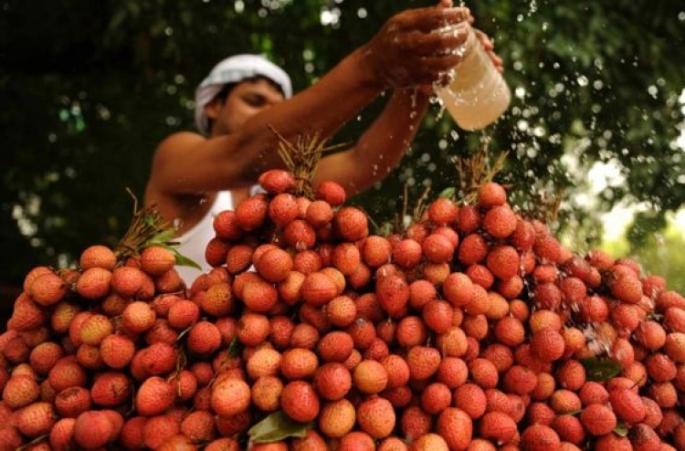 އިންޑިއާ އިން ކުޑަކުދިން މަރުވީ ހުސްބަނޑާ ލައިޗީ ކައިގެން