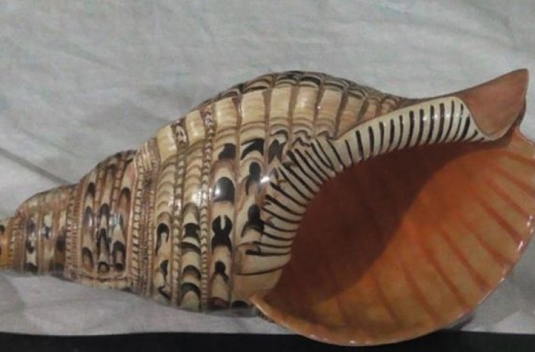 ވާތު ސަންގެއް ވަގަށް ނަގައިގެން ހަތް މީހުން ބަންދަށް