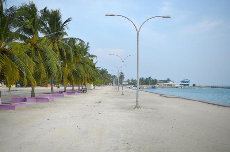 ހޯރަފުށީ އެއާޕޯޓުގެ މަސައްކަތް އެމްޓީސީސީ އަށް