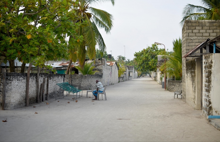 މޮޅަދޫ އިންޖީނުގޭގެ ތިޖޫރީ ވަގަށް ނަގައިފި