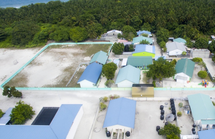 އުލިގަމަށް ހޮނުއަޅައި ގެއްލުންވެއްޖެ