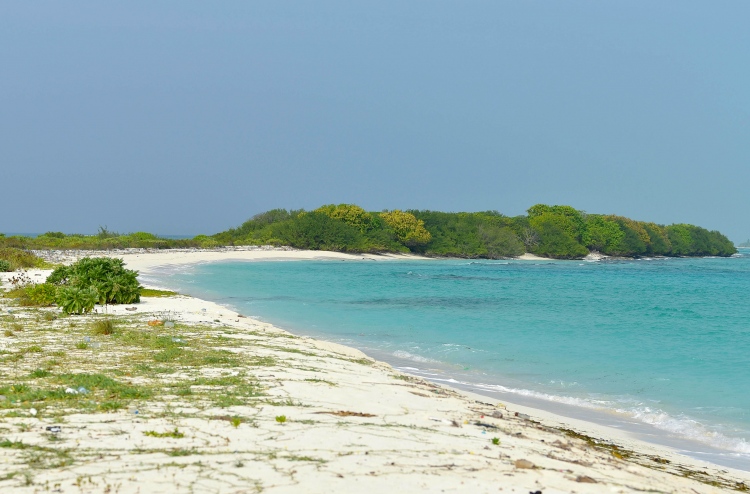 ހޯރަފުއްޓާއި ތަކަންދޫން ގުދުރަތީ ދެ ބަދަލެއްގެ މަންޒަރު